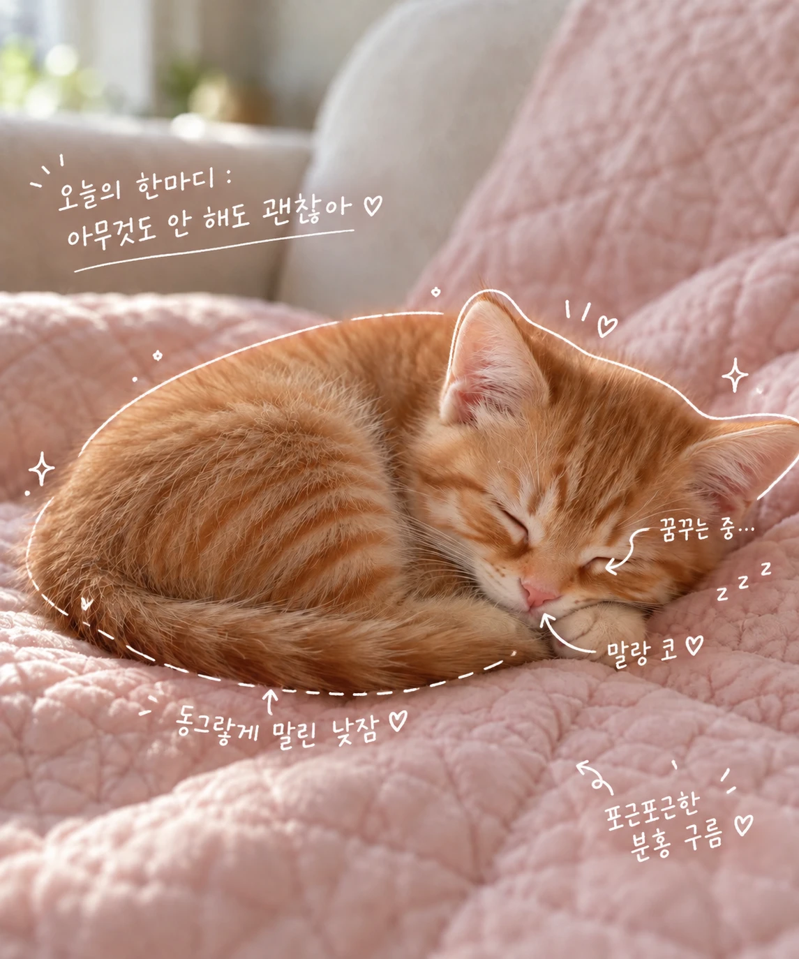 분홍 이불 위 고양이 낮잠 — 손글씨 메모가 더해진 완성본